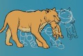 Drawing Big Cats