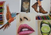 Ultimate Realistic Drawing- Master Colored Pencil Drawing