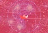 Complete Guide to Data Science Applications with Streamlit