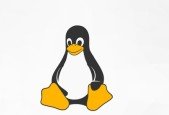 LPIC-1 Practice Tests, 300 QA