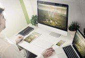 Themeforest WordPress Theme Development With Option Panel