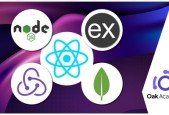 Full Stack Web App Development- Mern Stack Project React