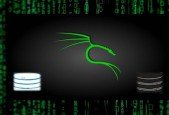 setting up web server and troubleshooting