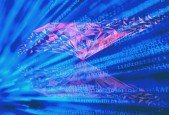 Master Ruby, Python and Java