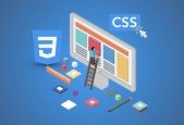 CSS3 Selectors, Cascade, Specificity, Basics Ultimate Guide