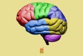 Introduction to Computational Thinking