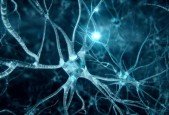 Neuroscience Marketing Persuasion [OUT NOW]