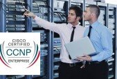 Cisco CCNP Enterprise ENCOR 350-401 Practice Exams
