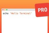 Learn Terminal from Beginner to Professional