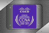 Cisco Certified Network CCNA 200-301 Practice Exam 2024