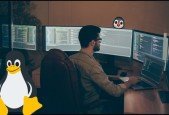 Linux Essentials for IT Professionals