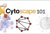 Making sense of your gene expression data with Cytoscape