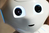 What A Worried Human Needs To Know- Artificial Intelligence