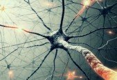 Unsupervised Deep Learning in Python