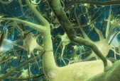 Deep Learning- Recurrent Neural Networks in Python