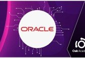 Oracle Database Administrator DBA