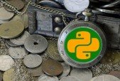 Python 4000- The Software Creation Process ("Gig Success")