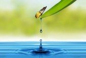 Mini Habit Mastery- The Scientific Way To Change Your Habits