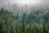 Build A TodoList with NestJS, MongoDB and React