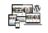Customizr Learn WordPress with the ultimate creative theme