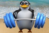 Linux Command Line, Bash Shell, Scripting AWK SED on Linux