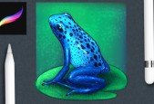 Procreate Essentials- Paint a Blue Dart Frog