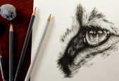 Realistic Drawing How to Draw a Cat Eye
