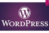 WordPress for Beginners- Creating A Website From Scratch