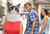 Memes 101