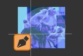 Master Image tracing with Adobe Illustrator
