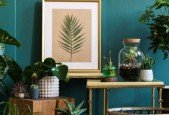 A Biophilic Home.