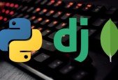 Complete Web development with Python, Django and MongoDB