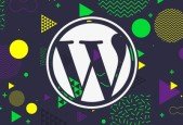 The Complete Guide to Building Premium WordPress Themes