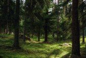 Build A TodoList with NestJS, MongoDB and React Native