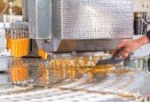Certified Food Safety Engineer (CFSE)