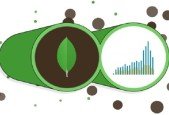 NoSQL MongoDB Bootcamp MongoDB Python Pymongo For Beginner