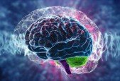 Memory Improvement + Brain Training