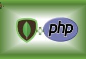 Practical MongoDB with PHP Project Learn By Doing