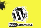 WordPressWooCommerce plugin development