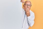 WordPress course for developers