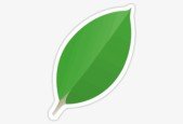 Learn MongoDB From Scratch For Beginners to Advance