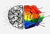 Principles of Psychology