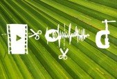 How to edit your Video and Audio for free
