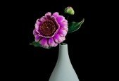 Leather making flowers-ZINNIA