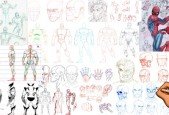 Simplified Superhero Anatomy- The Fundamentals (Male)