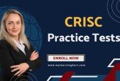 CRISC Practice Test Papers