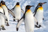 A Complete Guide on Linux LVM