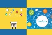 Salesforce Integration With External Systems