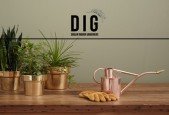 Houseplants 101- A Beginners Guide to Indoor Gardening