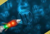 WordPress Expert Advice- Create Fast Sales Page in WordPress